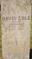 David Cole