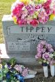 A Willis Tippey