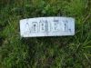Abbie H (Dutton) McFarland