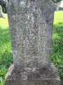 Albert T Dutton