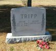 Alson & Louise (Felch) Tripp