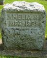 Amelia H Dutton