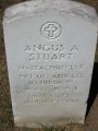 Angus A Stuart