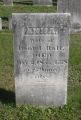 Anna Hall