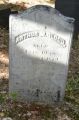 Arthur M Blood