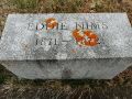 Eddie Nims