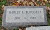Harley E Blodgett