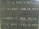 Harvey J Dutton & Louise V Brinsden