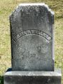 Israel P Wellman
