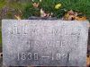 Julia E Mills