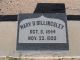 Mary Degraw Billingsley