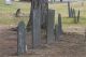 Nutting Graves