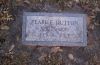 Pearl E (Cook) Dutton