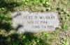 Robert D Murray
