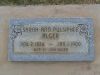 Sarah Ann Pulsipher Alger