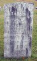 Sarah Bliss