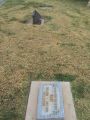 No grave marker. Buried between Sarah Alger's grave and the black grave marker at the top of the photo.