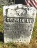 Sophia L Hazen