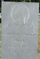 Timothy Wheeler