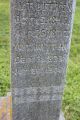 W.T. Dutton
