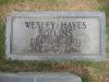 Wesley Hayes Rollins